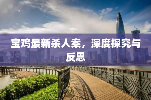 寶雞最新殺人案，深度探究與反思