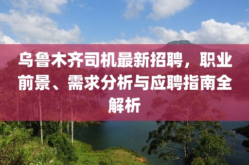 烏魯木齊司機(jī)最新招聘，職業(yè)前景、需求分析與應(yīng)聘指南全解析