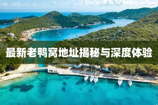最新老鴨窩地址揭秘與深度體驗