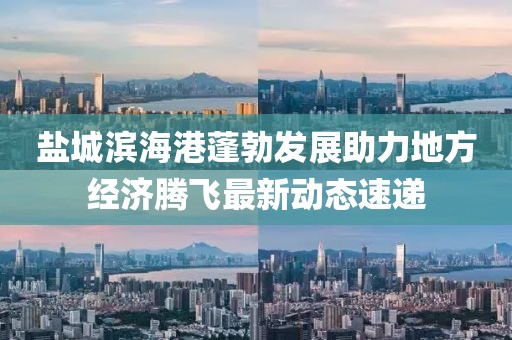 鹽城濱海港蓬勃發(fā)展助力地方經(jīng)濟(jì)騰飛最新動(dòng)態(tài)速遞