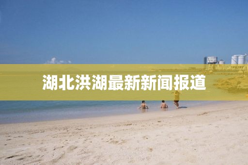 湖北洪湖最新新聞報(bào)道