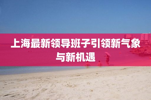 上海最新領導班子引領新氣象與新機遇