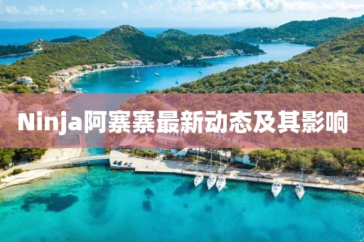 Ninja阿寨寨最新動(dòng)態(tài)及其影響