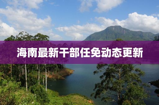 海南最新干部任免動態(tài)更新