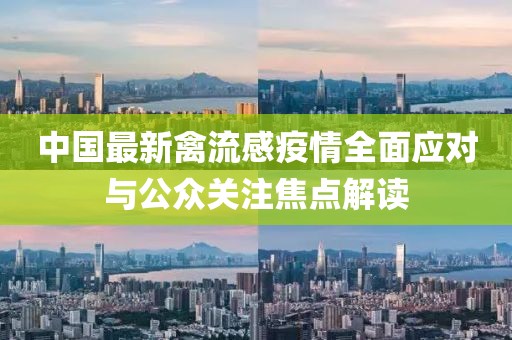 中國(guó)最新禽流感疫情全面應(yīng)對(duì)與公眾關(guān)注焦點(diǎn)解讀