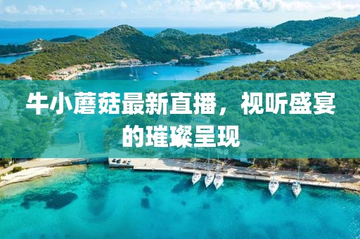 牛小蘑菇最新直播，視聽盛宴的璀璨呈現(xiàn)