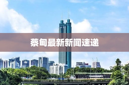 蔡甸最新新聞速遞