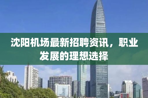 沈陽(yáng)機(jī)場(chǎng)最新招聘資訊，職業(yè)發(fā)展的理想選擇
