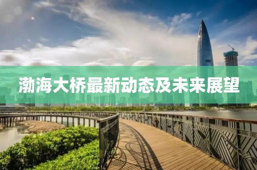渤海大橋最新動(dòng)態(tài)及未來(lái)展望