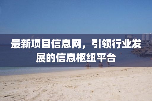 最新項(xiàng)目信息網(wǎng)，引領(lǐng)行業(yè)發(fā)展的信息樞紐平臺(tái)