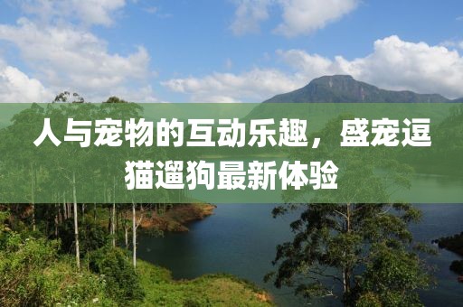 人與寵物的互動(dòng)樂(lè)趣，盛寵逗貓遛狗最新體驗(yàn)