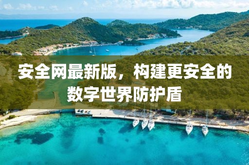 安全網(wǎng)最新版，構(gòu)建更安全的數(shù)字世界防護(hù)盾
