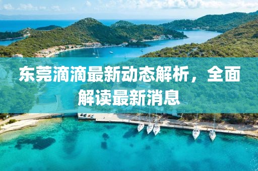 東莞滴滴最新動(dòng)態(tài)解析，全面解讀最新消息