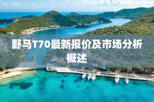 野馬T70最新報(bào)價(jià)及市場(chǎng)分析概述