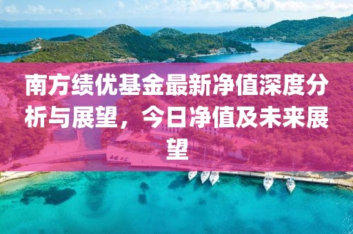 南方績優(yōu)基金最新凈值深度分析與展望，今日凈值及未來展望