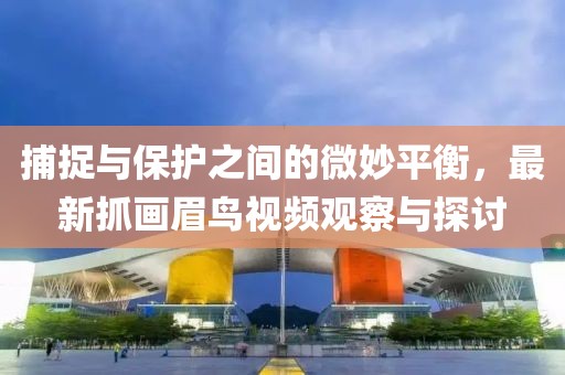 捕捉與保護之間的微妙平衡，最新抓畫眉鳥視頻觀察與探討