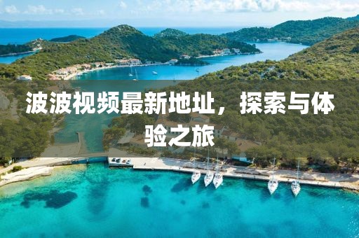 波波視頻最新地址，探索與體驗(yàn)之旅