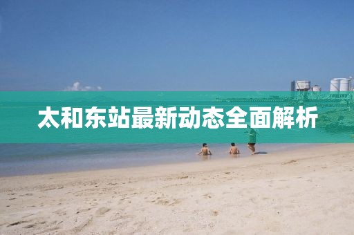 太和東站最新動態(tài)全面解析