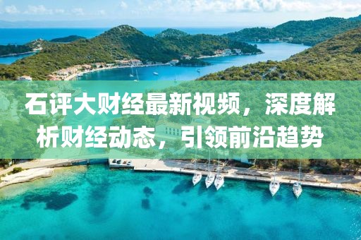 石評大財經(jīng)最新視頻，深度解析財經(jīng)動態(tài)，引領(lǐng)前沿趨勢