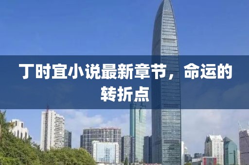 丁時宜小說最新章節(jié)，命運的轉(zhuǎn)折點