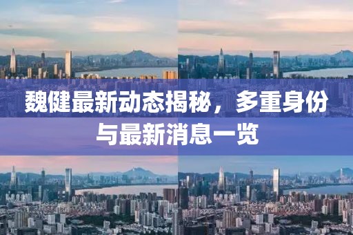 魏健最新動態(tài)揭秘，多重身份與最新消息一覽