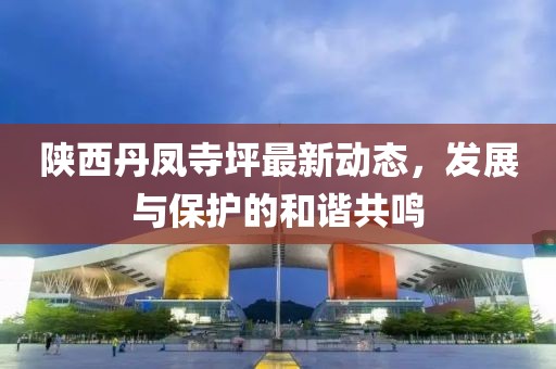 陜西丹鳳寺坪最新動態(tài)，發(fā)展與保護(hù)的和諧共鳴