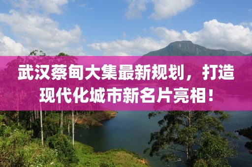 武漢蔡甸大集最新規(guī)劃，打造現(xiàn)代化城市新名片亮相！