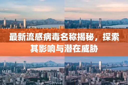 最新流感病毒名稱揭秘，探索其影響與潛在威脅