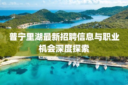 普寧里湖最新招聘信息與職業(yè)機(jī)會(huì)深度探索