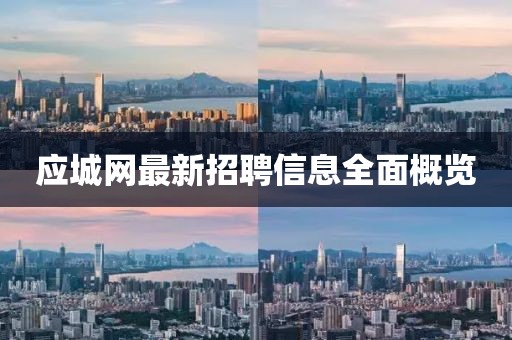 應(yīng)城網(wǎng)最新招聘信息全面概覽