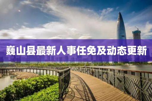 巍山縣最新人事任免及動態(tài)更新