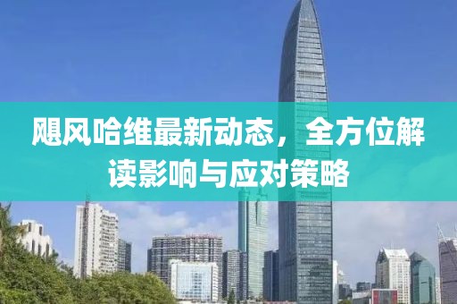 颶風(fēng)哈維最新動(dòng)態(tài)，全方位解讀影響與應(yīng)對(duì)策略