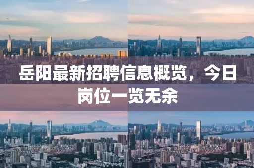 岳陽最新招聘信息概覽，今日崗位一覽無余