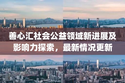 善心匯社會公益領域新進展及影響力探索，最新情況更新