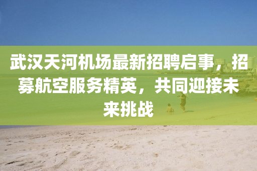 武漢天河機(jī)場最新招聘啟事，招募航空服務(wù)精英，共同迎接未來挑戰(zhàn)