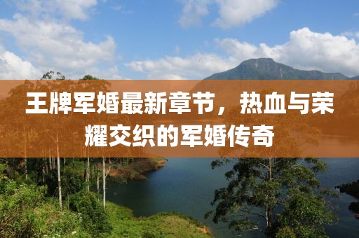 王牌軍婚最新章節(jié)，熱血與榮耀交織的軍婚傳奇