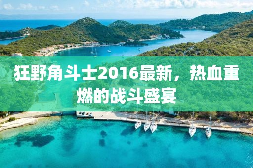 狂野角斗士2016最新，熱血重燃的戰(zhàn)斗盛宴