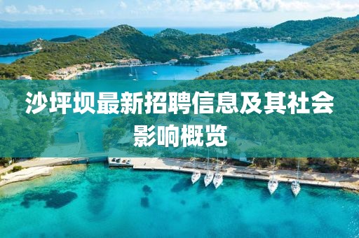沙坪壩最新招聘信息及其社會(huì)影響概覽