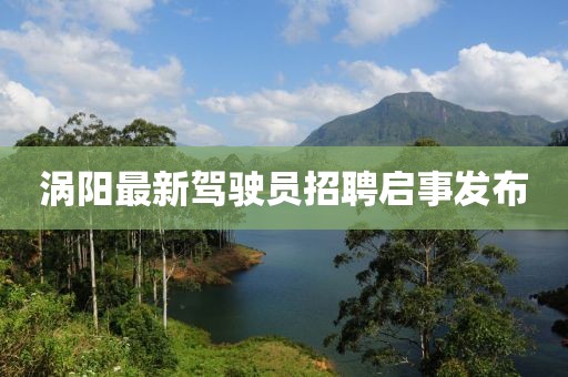 渦陽(yáng)最新駕駛員招聘啟事發(fā)布