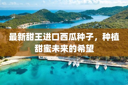 最新甜王進口西瓜種子，種植甜蜜未來的希望