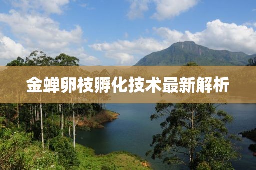 金蟬卵枝孵化技術(shù)最新解析