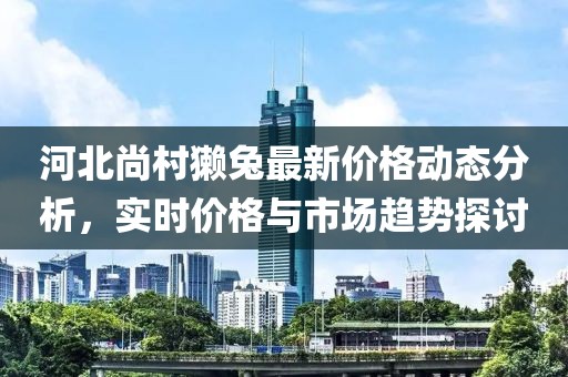 河北尚村獺兔最新價(jià)格動(dòng)態(tài)分析，實(shí)時(shí)價(jià)格與市場(chǎng)趨勢(shì)探討