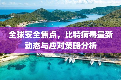 全球安全焦點，比特病毒最新動態(tài)與應(yīng)對策略分析