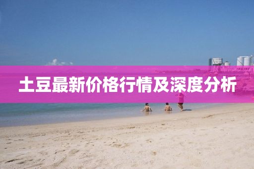 土豆最新價(jià)格行情及深度分析