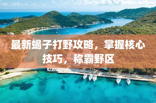 最新蝎子打野攻略，掌握核心技巧，稱(chēng)霸野區(qū)