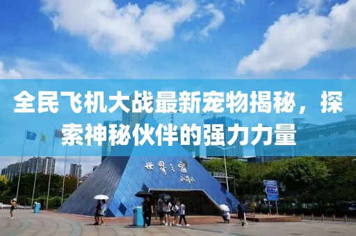 全民飛機(jī)大戰(zhàn)最新寵物揭秘，探索神秘伙伴的強(qiáng)力力量