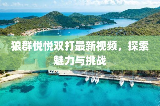 狼群悅悅雙打最新視頻，探索魅力與挑戰(zhàn)