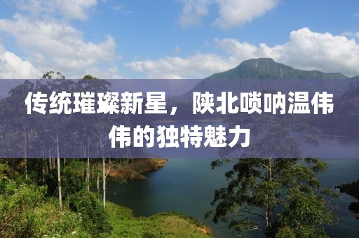 傳統(tǒng)璀璨新星，陜北嗩吶溫偉偉的獨(dú)特魅力