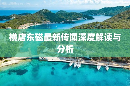 橫店?yáng)|磁最新傳聞深度解讀與分析