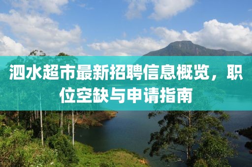 泗水超市最新招聘信息概覽，職位空缺與申請指南
